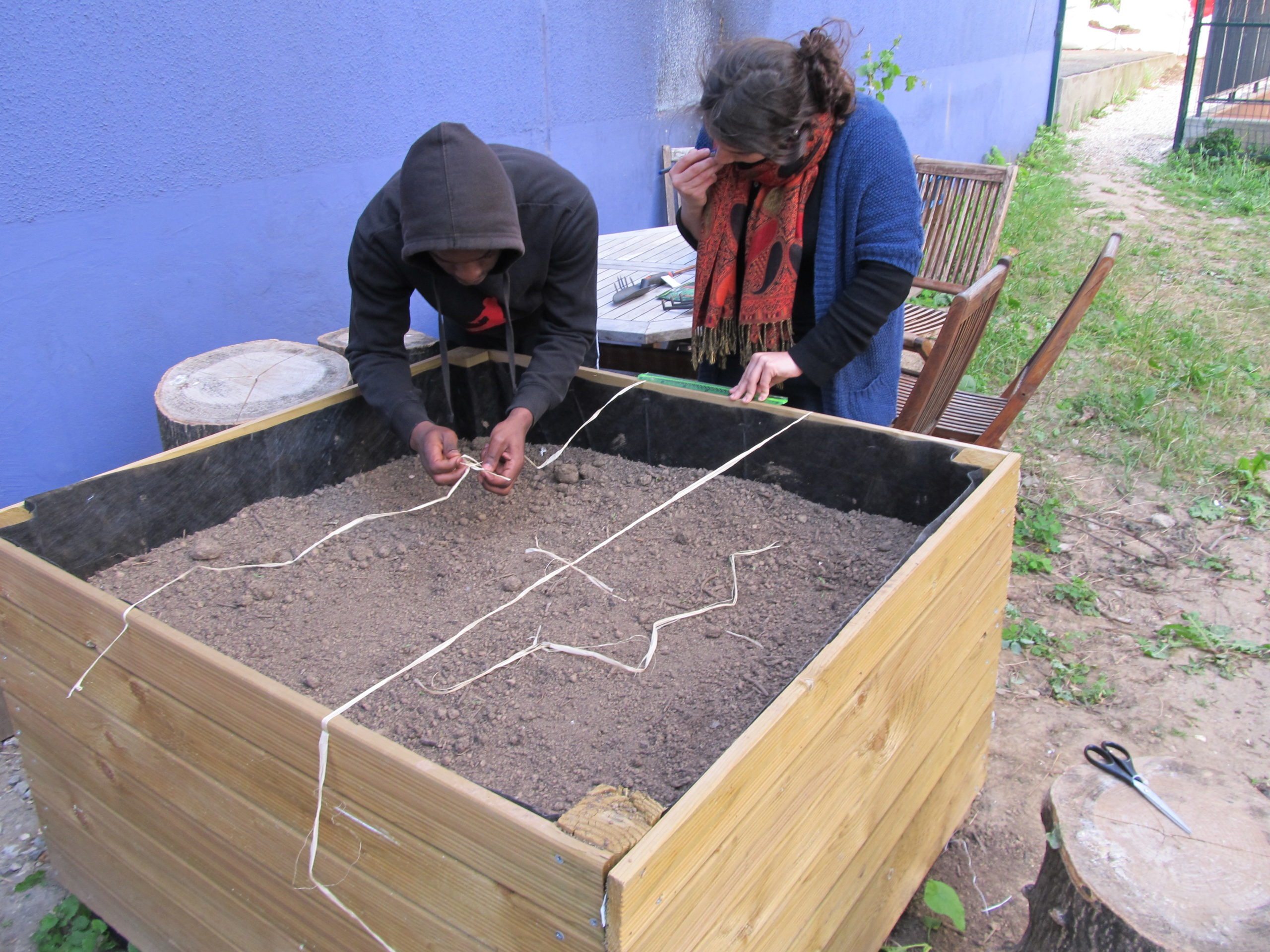 Solid’herbe