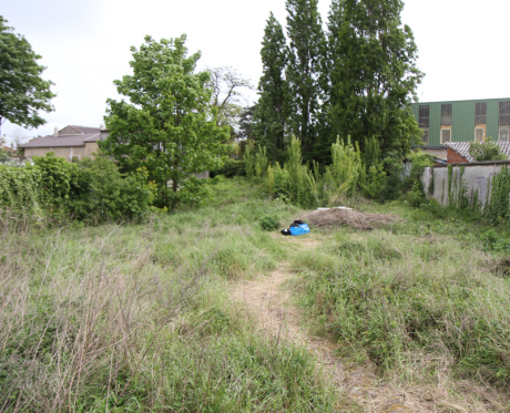 Jardin d’un peu plus prè
