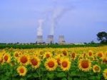 tournesols.jpg