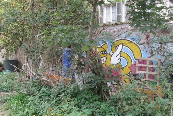 Le bois dormoy