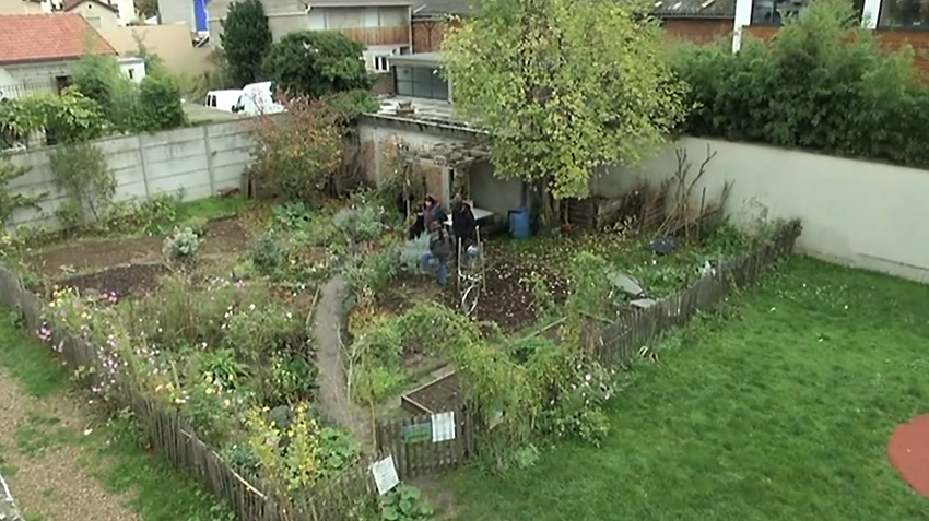 Jardin partagé des Chlorophiliens