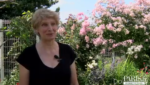 jardin.png
