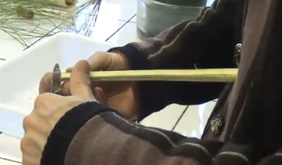 Fabrication du papyrus