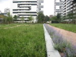 img_3226_1_.jpg