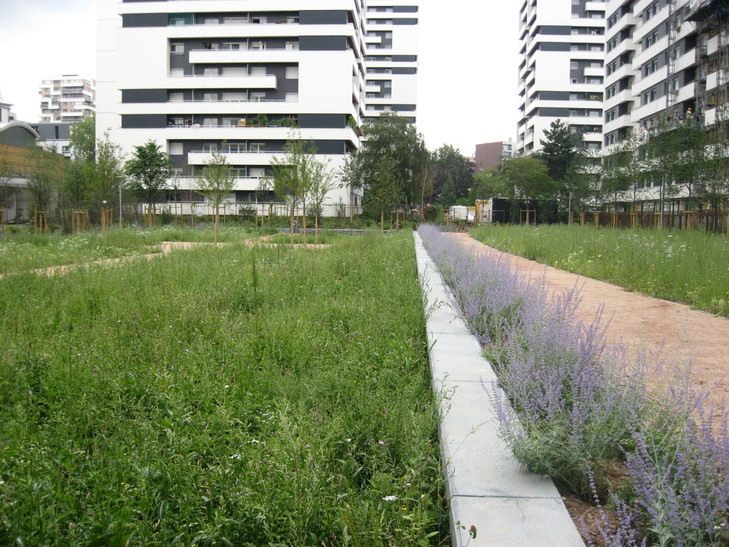 Jardin Ver Têtu