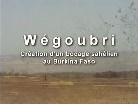 Wegoubri, création d’un bocage sahélien au Burkina Faso