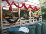 pergola.jpg