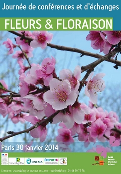 Fleurs et floraisons à la SNHF