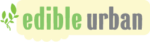 logo-2.png