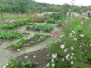 Inauguration des Jardins Partageurs à Argenteuil