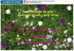 63. Pôle Jardinage Urbain - Main verte
