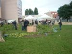 jardin-partage-de-la-grande-borne-1.jpg