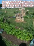 jardin-partage-de-la-grande-borne-4.jpg