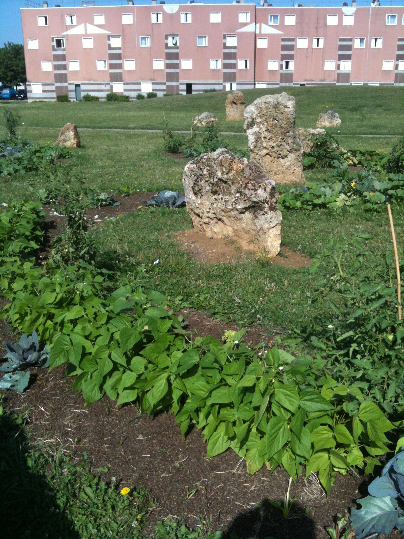 Le Jardin de l’Ellipse