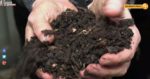 compost-3.jpg