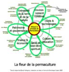 permaculture_flower_french.jpg