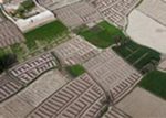 2013oct-paris-guerillagardening-pointephemere-campafghan-2.jpg