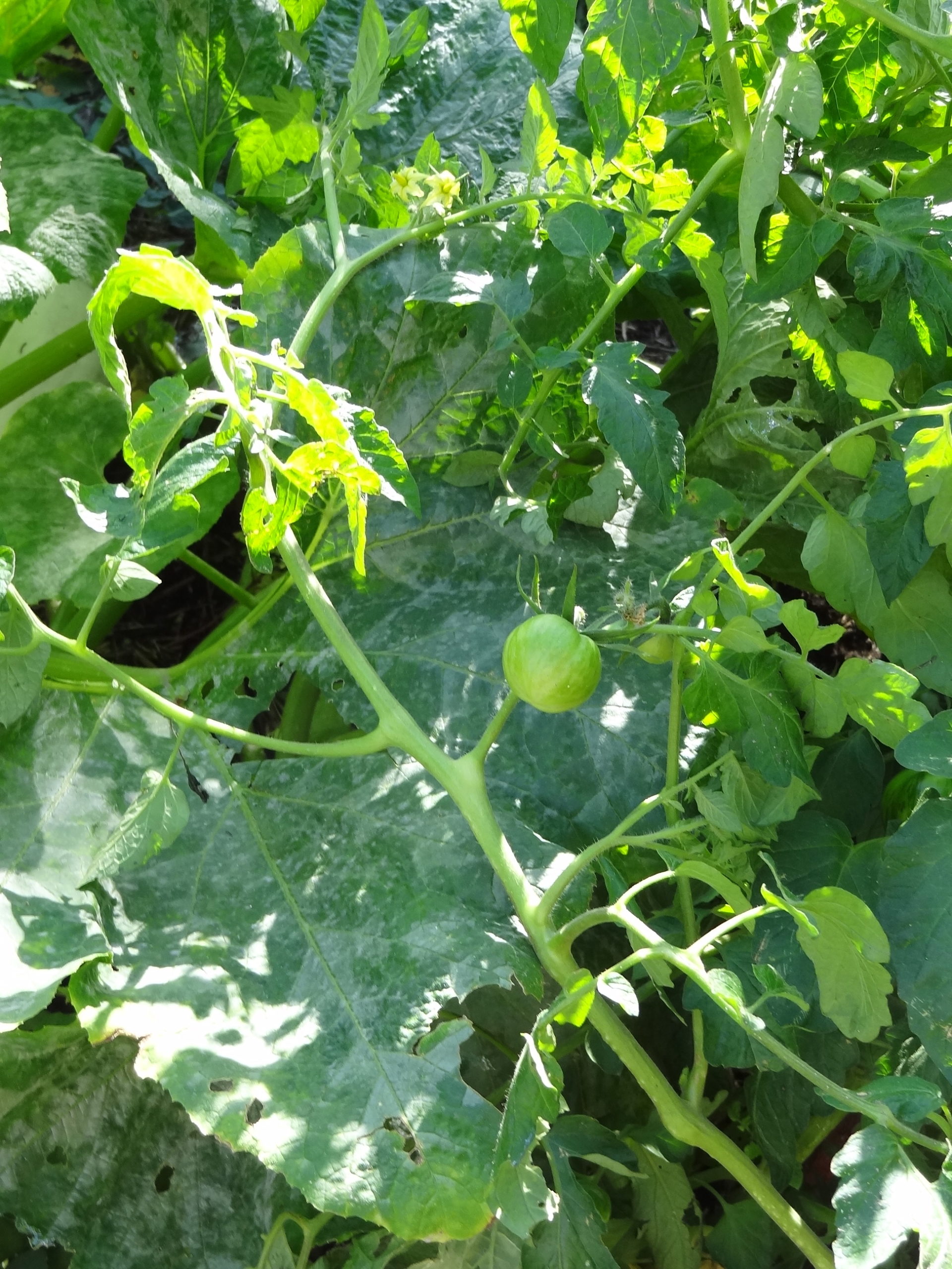 Atelier Graines aux Jardins de Guinot