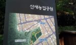 seoul3-2.jpg
