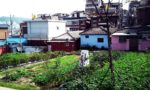 seoul4-2.jpg