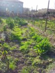 164_spiazzi_verdi_-_espace_jardin_r_.jpg