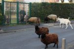 2. on passe par la maternelle