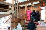 4. et enfin de retour a la bergerie