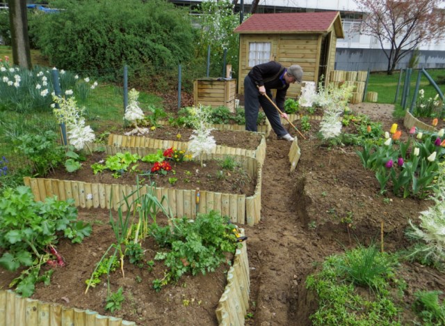 Le Jardin aux P’tits oignons