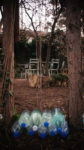 unnamed-8.jpg