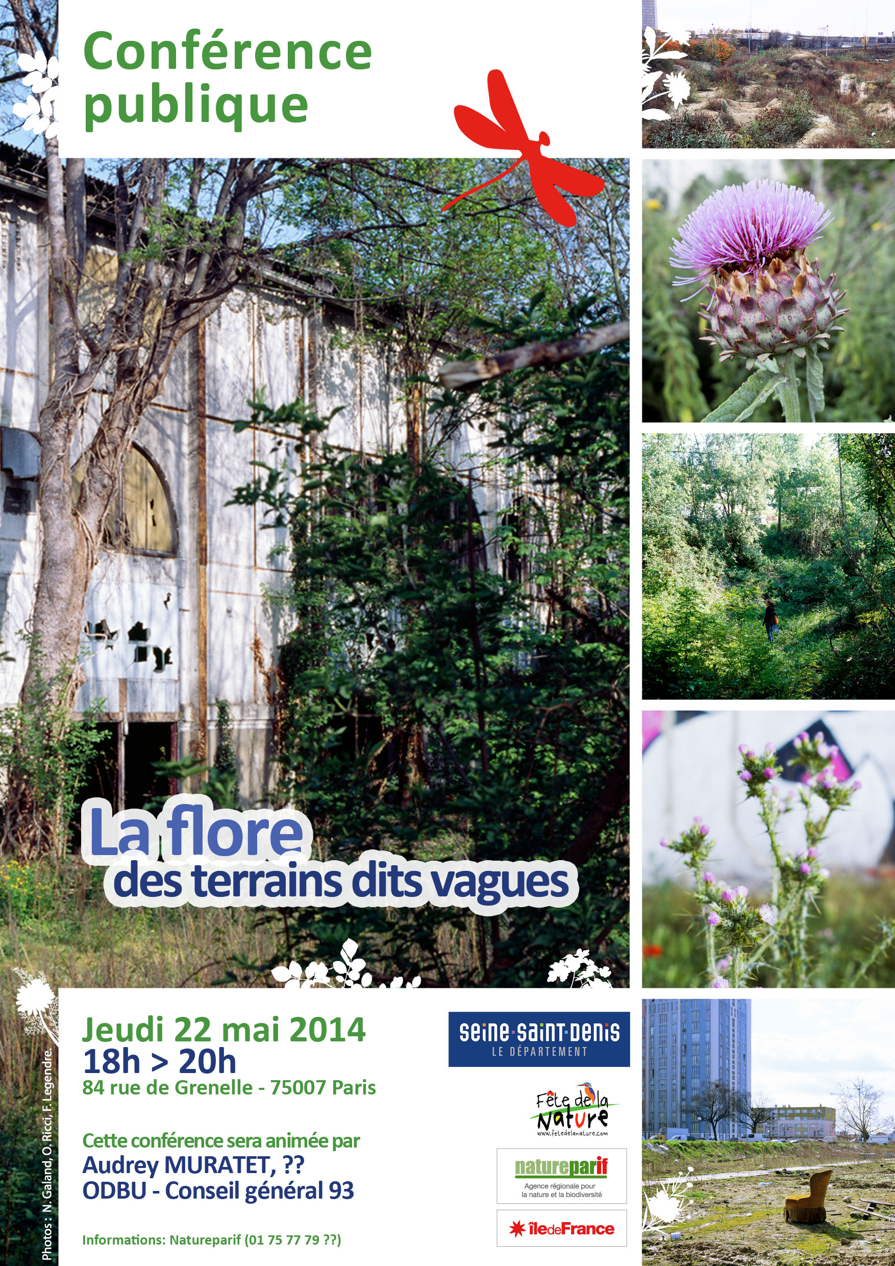 La flore des terrains dits vagues