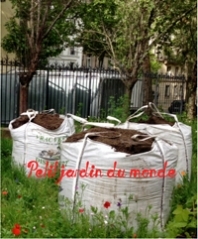 Bouteille à la mer ! Terre ! Terre !
