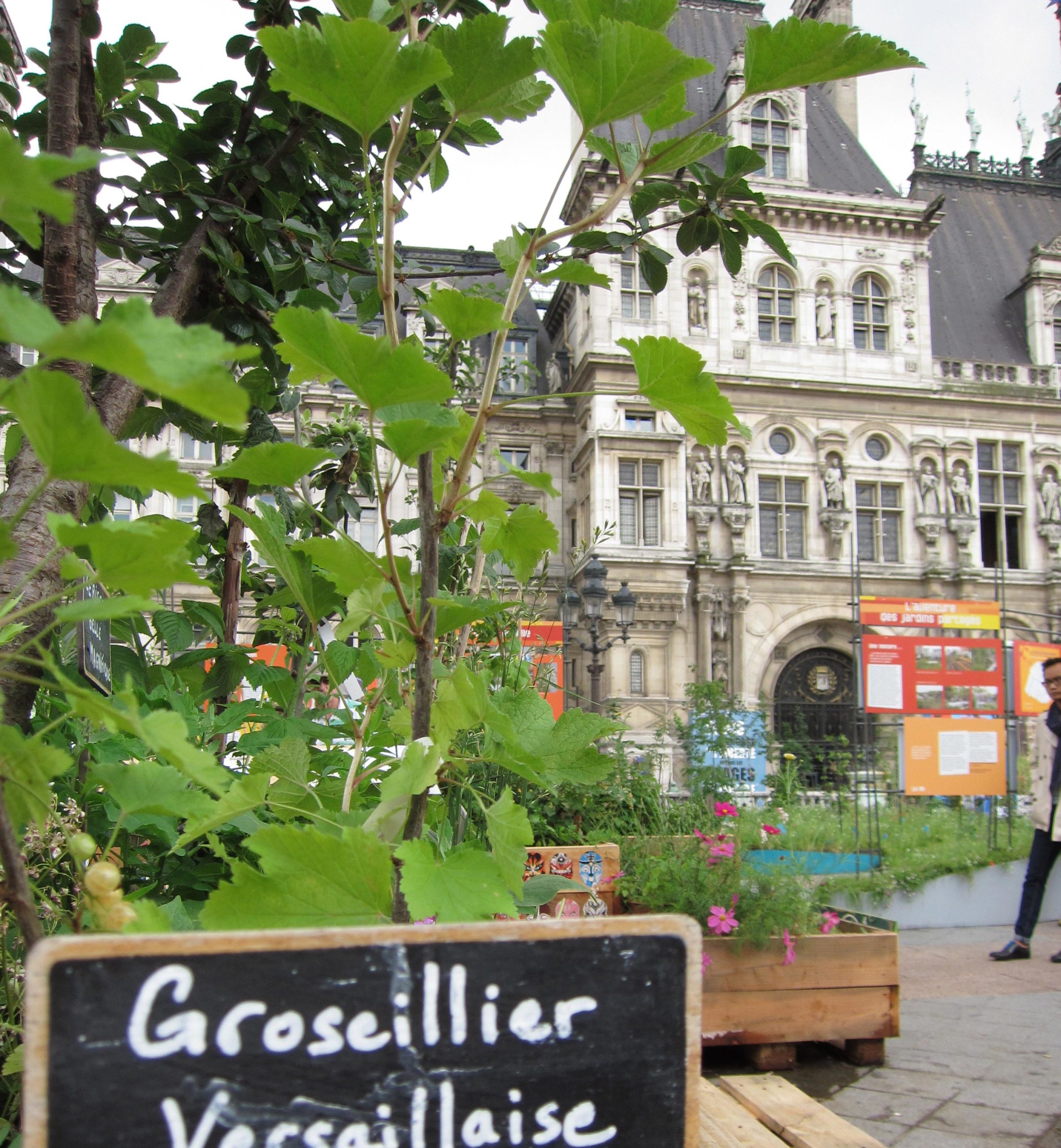 Feuille de route de Colombe Brossel