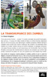 zambus_jardins_jardin.jpg