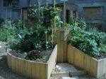 p1050503-2.jpg