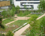 Jardin vu du ciel