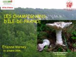 conf_les_champignons_iledefrance.jpg