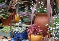 Atelier de jardinage à la Maison du Jardinage