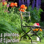 affiche_fens_2014.png