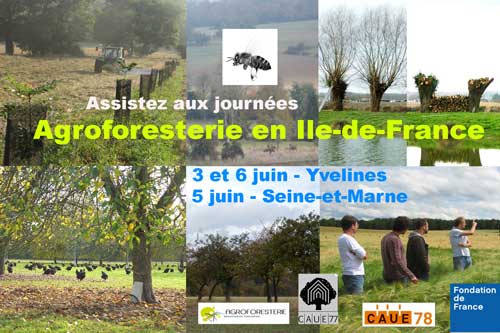 Retour sur la journée d’agroforesterie IDF