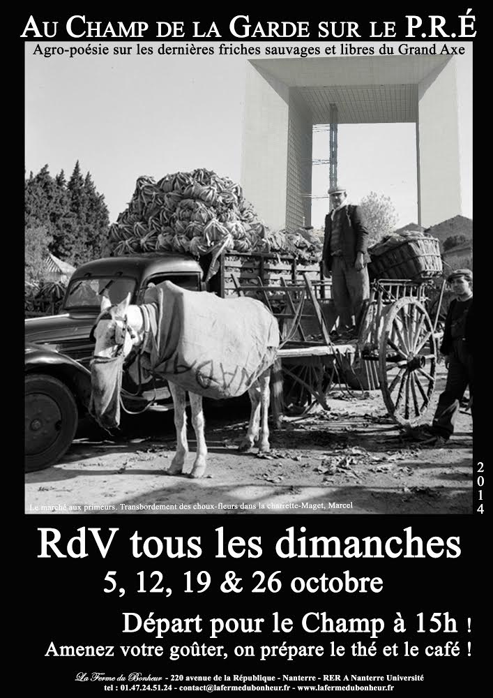 Bons sangs ! ! ! Quelle tourmente !