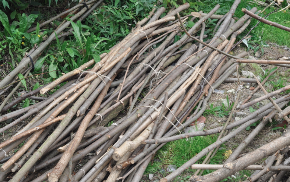 Urgent ! Bois à donner !