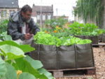Gilles Roux, agronome, antomologiste et maitre composteur lors d'un atelier jardinage à Creil