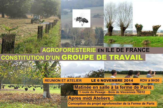 Réunion Agroforesterie Ile-de-france