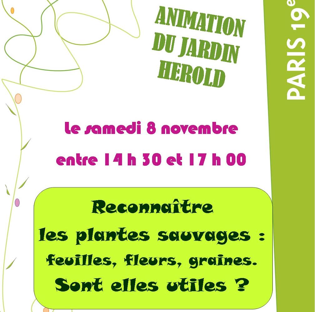 Les plantes sauvages sont elles utiles au jardin?