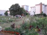 Les Jardins Sauvages d'Audra - Colombes 92