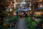 Le Jardin Nomade - Paris 11e
