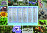 calendrier_ecobox_2015_impression_page_1.jpg