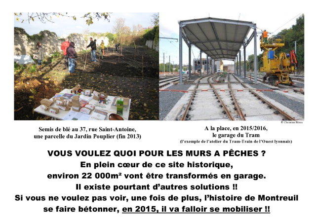 Mais qu’est-ce qu’ils ont tous contre les jardins ?!?