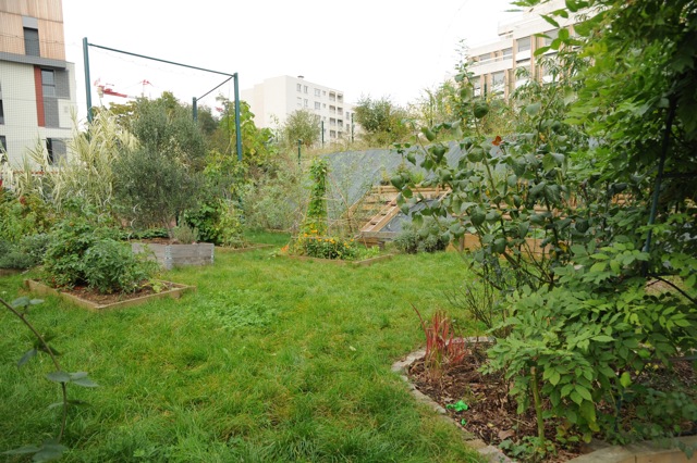 Le P’tit Bol d’Herbe