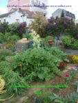 Potager des Lilas